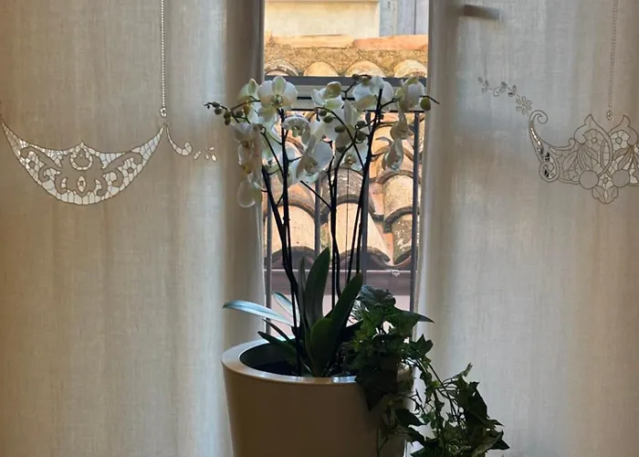 Mater Domini Отель типа 